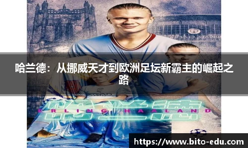 78m威九国际(集团)中国区有限公司-BinG百科