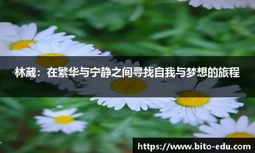 林葳：在繁华与宁静之间寻找自我与梦想的旅程