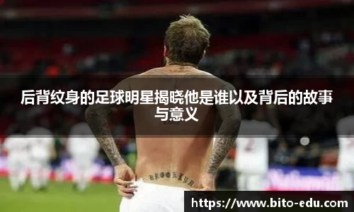 78m威九国际(集团)中国区有限公司-BinG百科