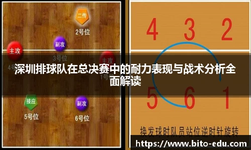 深圳排球队在总决赛中的耐力表现与战术分析全面解读